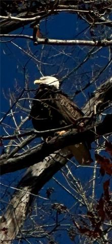 5993 Overby Road, Flowery Branch, GA 30542