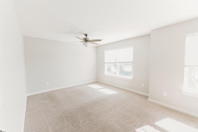 206 Button Willow Street, Taylors, SC 29687