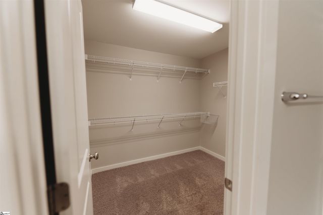 206 Button Willow Street, Taylors, SC 29687
