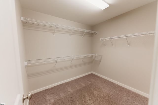 206 Button Willow Street, Taylors, SC 29687