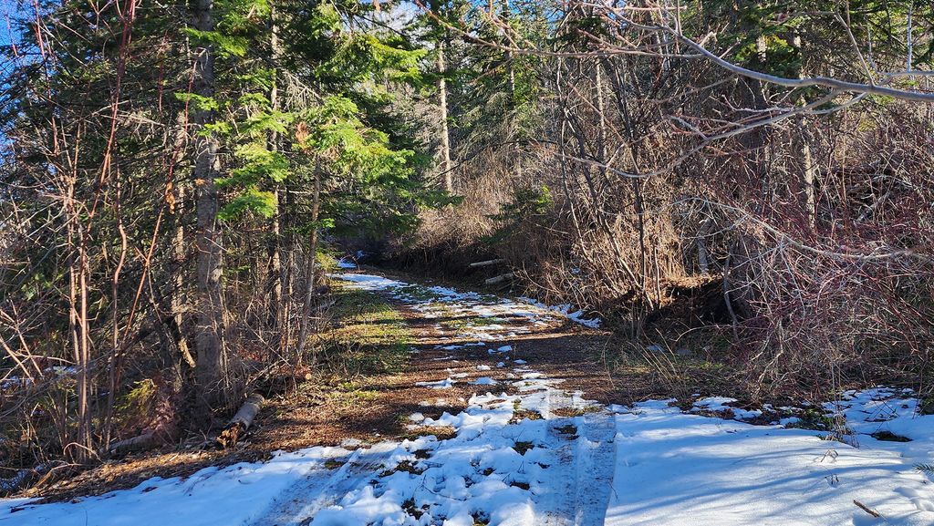 24699 MT Highway 35, Bigfork, MT 59911 photo 10