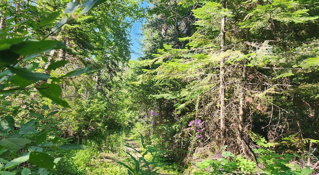 24699 MT Highway 35, Bigfork, MT 59911 photo 11