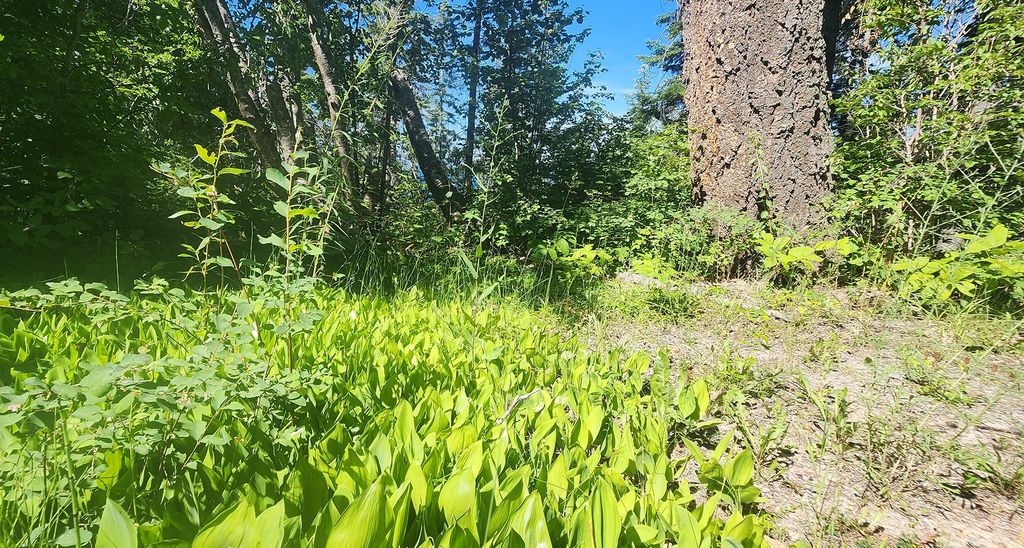 24699 MT Highway 35, Bigfork, MT 59911 photo 12