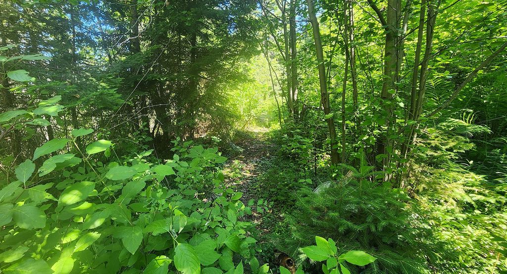 24699 MT Highway 35, Bigfork, MT 59911 photo 13