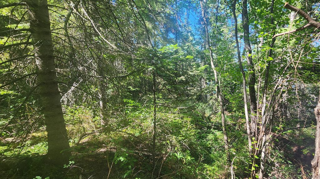 24699 MT Highway 35, Bigfork, MT 59911 photo 14