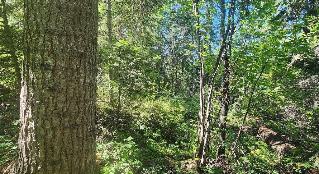 24699 MT Highway 35, Bigfork, MT 59911 photo 15