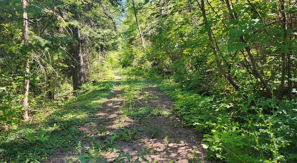 24699 MT Highway 35, Bigfork, MT 59911 photo 6