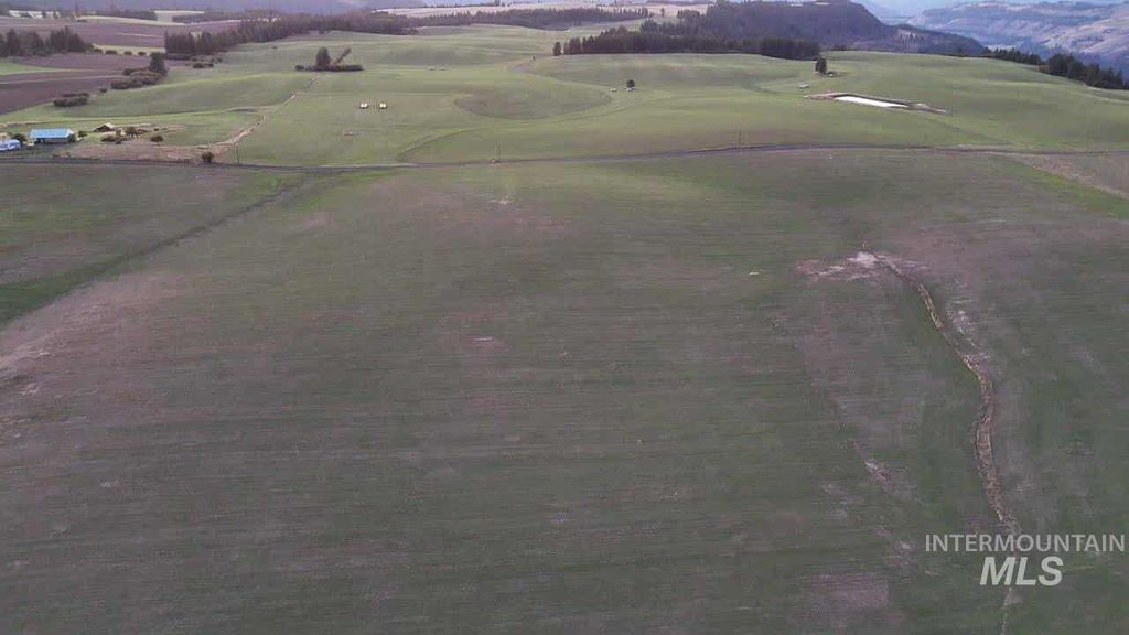 TBD Stuart Rd, Parcel 3, Orofino, ID 83544 photo 5