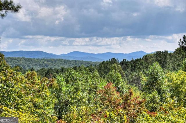 603 Redberry Ridge Road, Blue Ridge, GA 30513