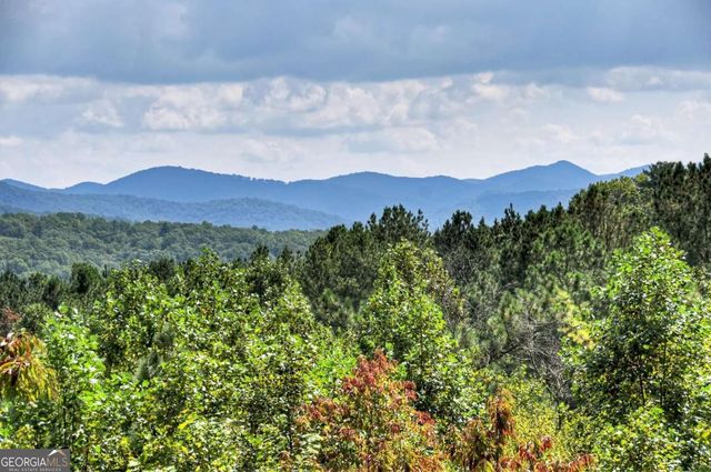 603 Redberry Ridge Road, Blue Ridge, GA 30513