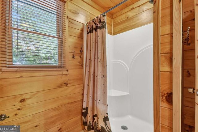 603 Redberry Ridge Road, Blue Ridge, GA 30513