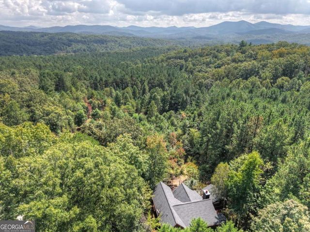 603 Redberry Ridge Road, Blue Ridge, GA 30513