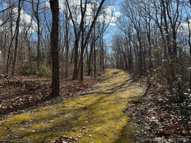 Mountain Laurel Drive, Middletown, CT 06457