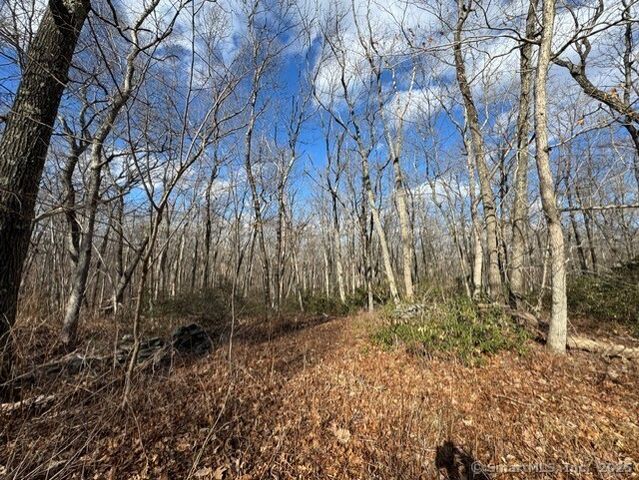 Mountain Laurel Drive, Middletown, CT 06457