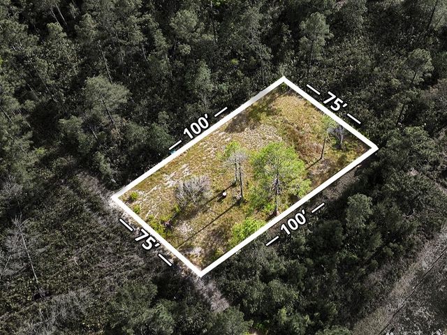 56309 VIRGINIA STREET, Paisley, FL 32767