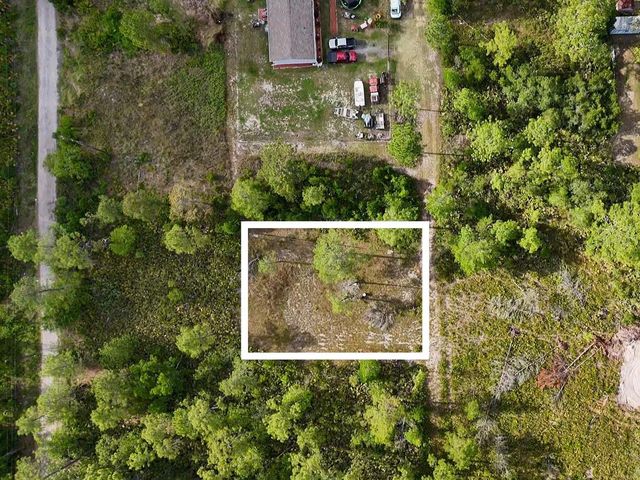 56309 VIRGINIA STREET, Paisley, FL 32767