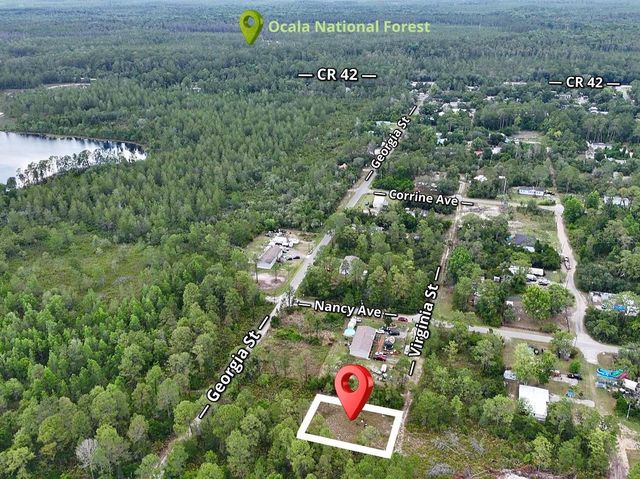 56309 VIRGINIA STREET, Paisley, FL 32767
