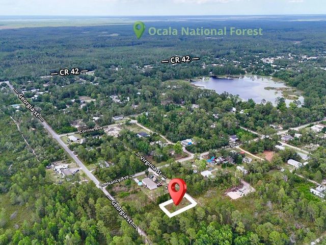 56309 VIRGINIA STREET, Paisley, FL 32767