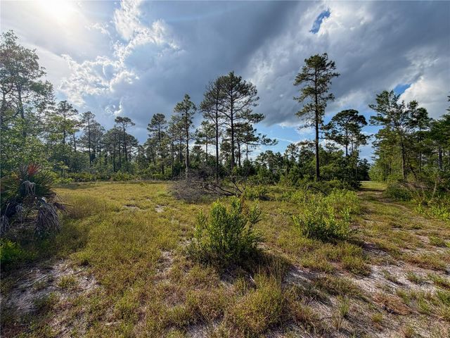56309 VIRGINIA STREET, Paisley, FL 32767