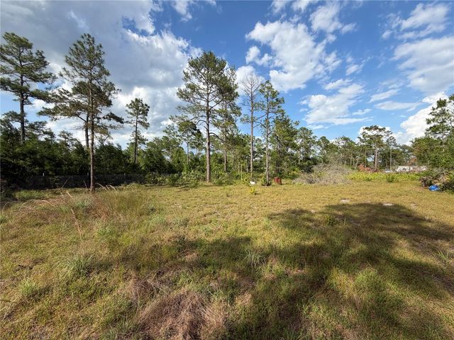 56309 VIRGINIA STREET, Paisley, FL 32767