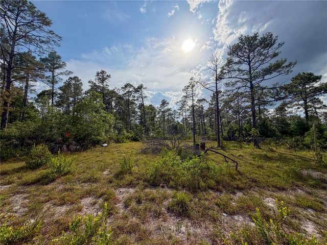 56309 VIRGINIA STREET, Paisley, FL 32767