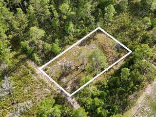 56309 VIRGINIA STREET, Paisley, FL 32767