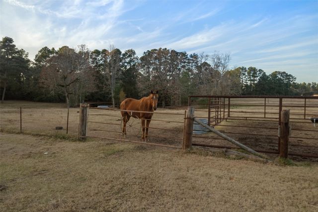 394 Fm 230-1, Trinity, TX 75862