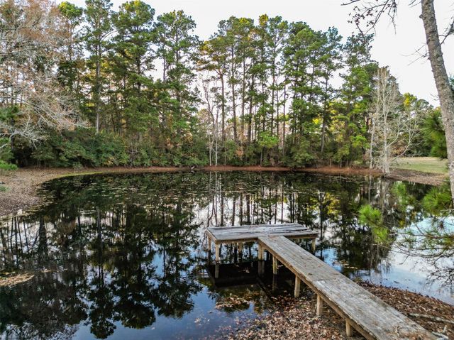 394 Fm 230-1, Trinity, TX 75862