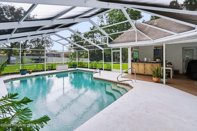 1005 Druid Road, Spring Hill, FL 34609
