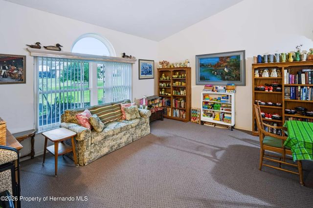 1005 Druid Road, Spring Hill, FL 34609