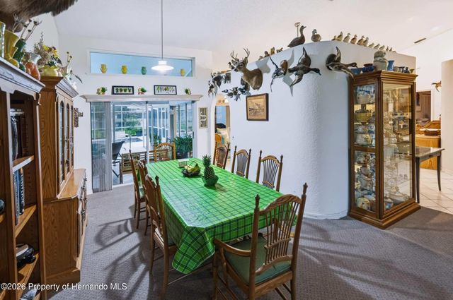 1005 Druid Road, Spring Hill, FL 34609