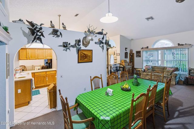1005 Druid Road, Spring Hill, FL 34609