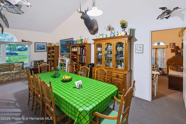 1005 Druid Road, Spring Hill, FL 34609