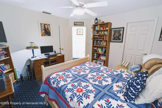 1005 Druid Road, Spring Hill, FL 34609