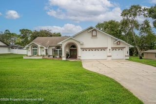 1005 Druid Road, Spring Hill, FL 34609