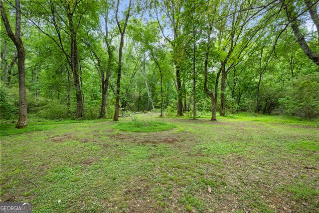 248 River Park Drive, Newnan, GA 30265