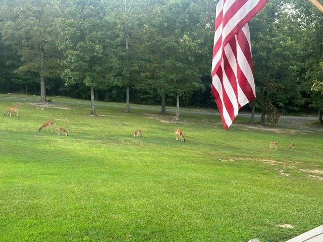 35 Prayer Trail, Aragon, GA 30104