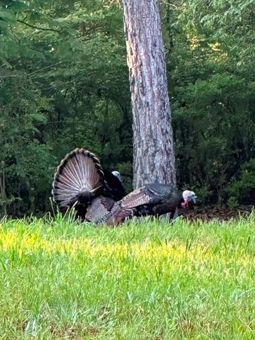 35 Prayer Trail, Aragon, GA 30104