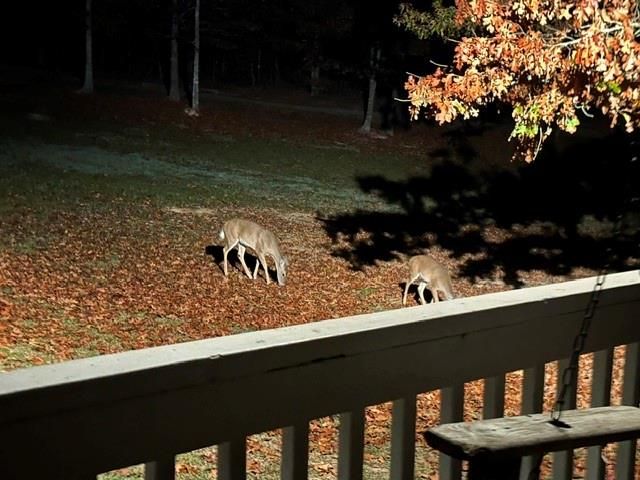 35 Prayer Trail, Aragon, GA 30104
