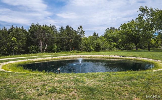 446 Cedar Breeze Drive, Sullivan, MO 63080