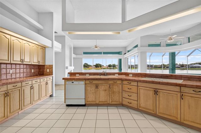 8911 RIVERLACHEN WAY, Riverview, FL 33578