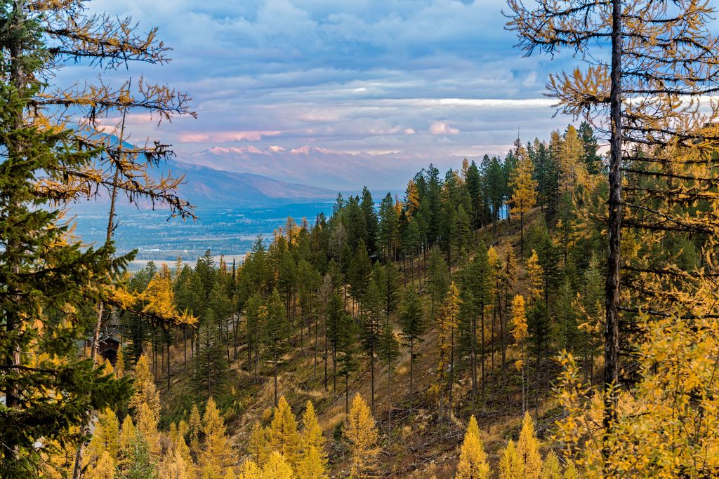 296 Northern Lights Drive, Whitefish, MT 59937 photo 72