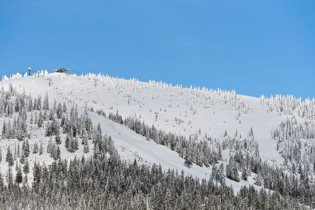 296 Northern Lights Drive, Whitefish, MT 59937 photo 99