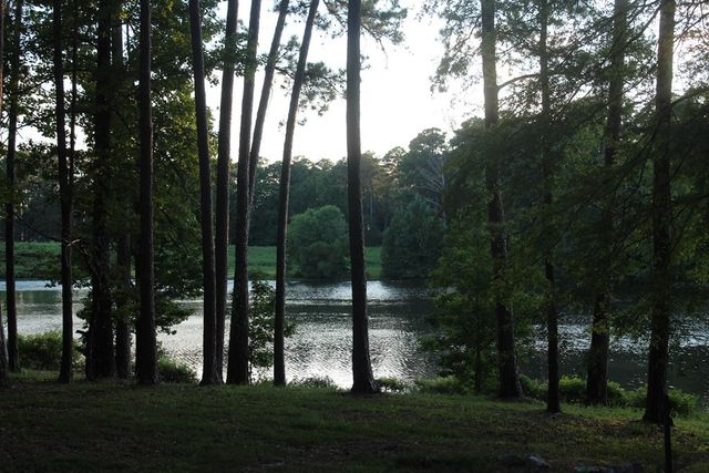 3710 NE Winkfield Place, Columbus, GA 31909