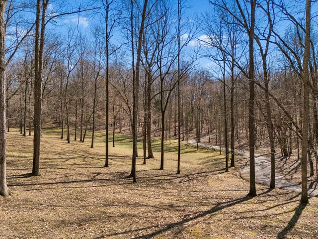 2752 Owl Hollow Rd, Franklin, TN 37064