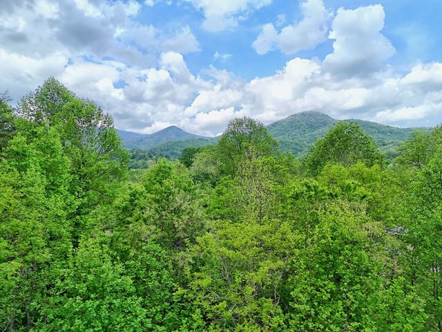 600 Mill Ridge Road, Hiawassee, GA 30546
