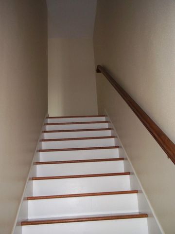 401A Willard Street, Houston, TX 77006