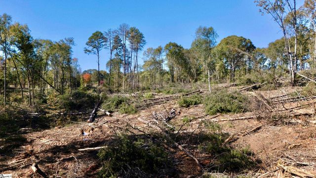 0 Antreville Highway Lot 4, Iva, SC 29656