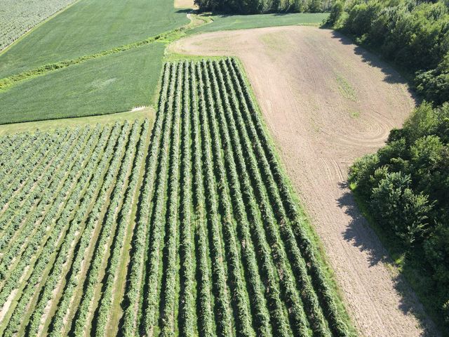 V/L E Hinchman Road, Berrien Springs, MI 49103