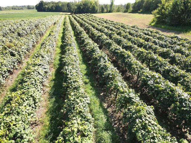 V/L E Hinchman Road, Berrien Springs, MI 49103